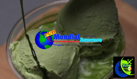 Sorbet au Kiwi : Une Recette Rafraîchissante et Facile à Préparer