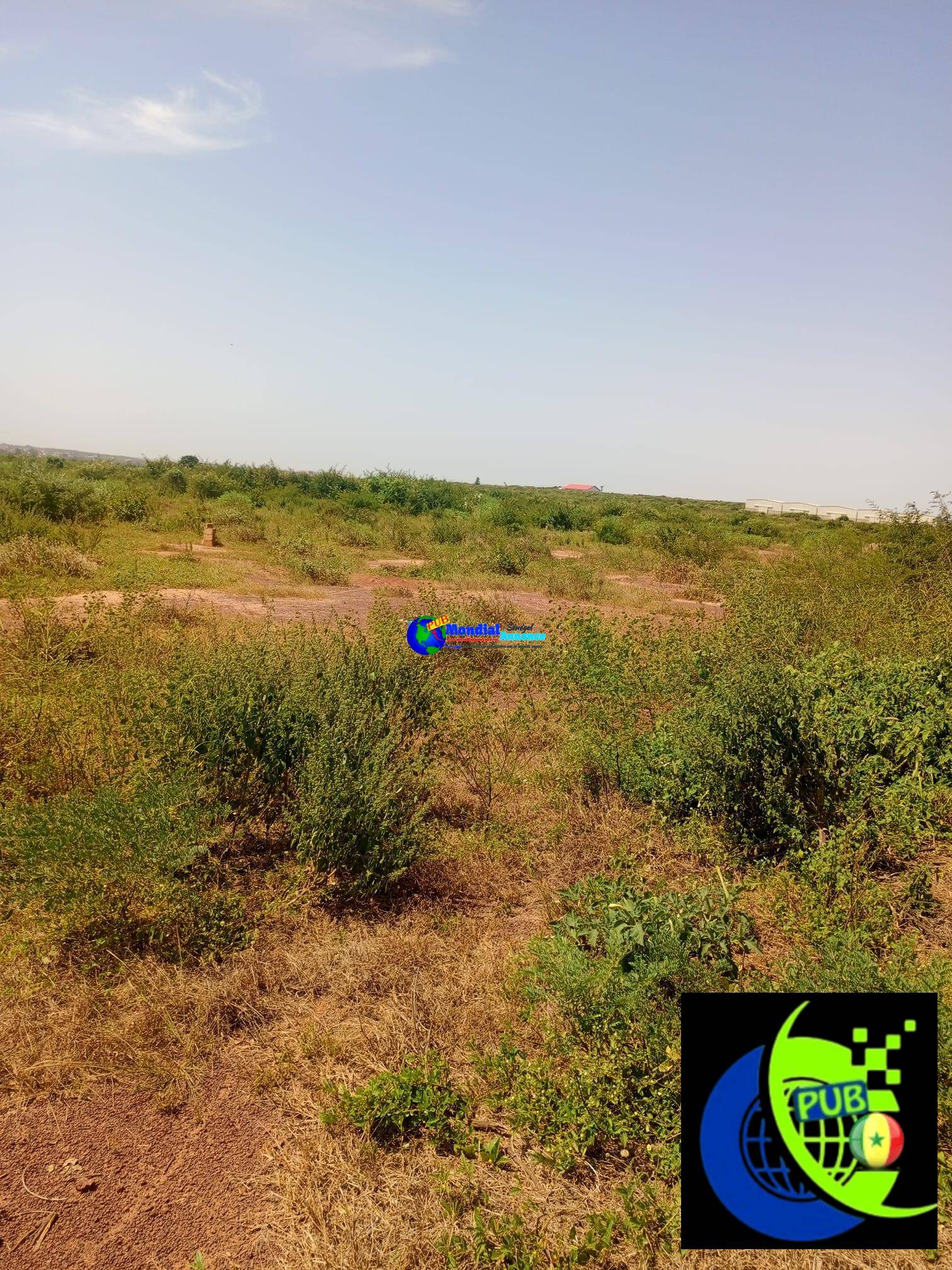 Terrain à vendre – Landou