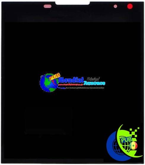 Accessoires de Remplacement du téléphone Mobile Écran LCD et numériseur Complet pour Blackberry Passport Q30 (Noir) Réparation