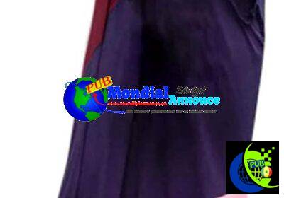 41fM05ItLqL._AC_SL1080_.jpg
