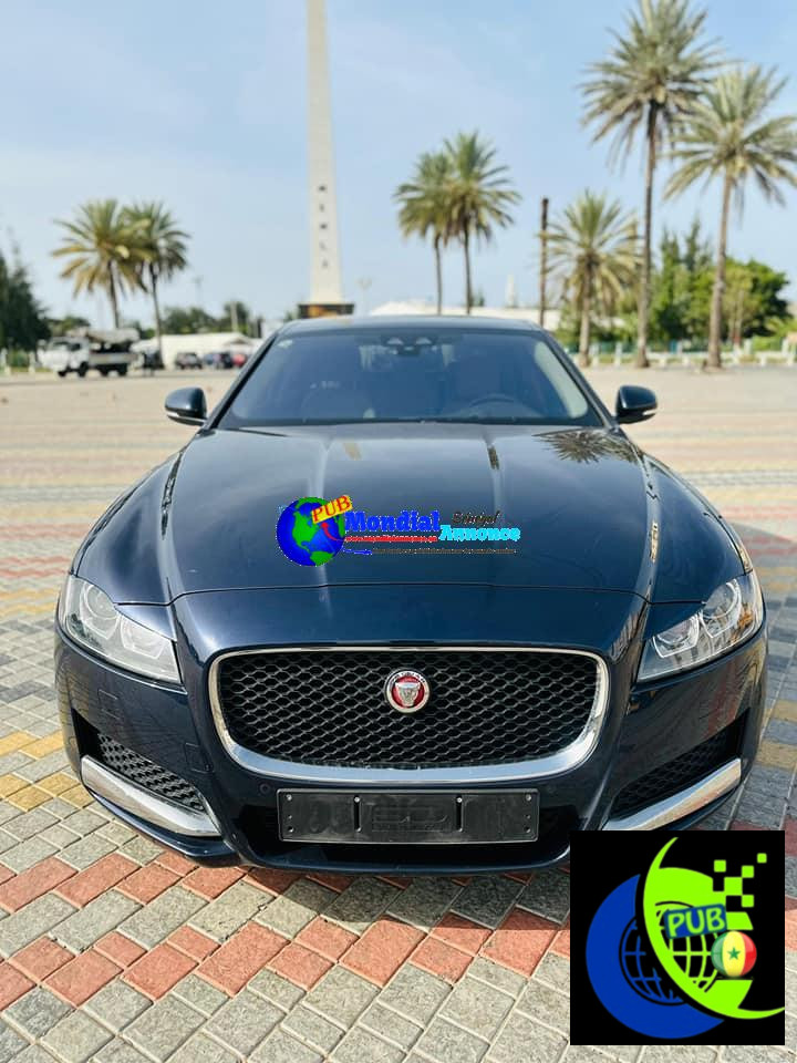 465696669_8574596005981806_8859119404939517462_n.jpg