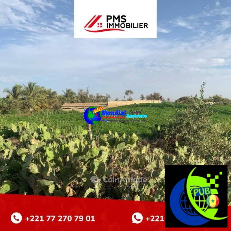 Terrains Agricoles à Vendre dans la Zone des Niayes – 300 F/m²