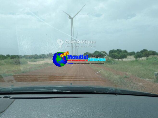 Terrains agricoles 30ha -Taiba Ndiaye