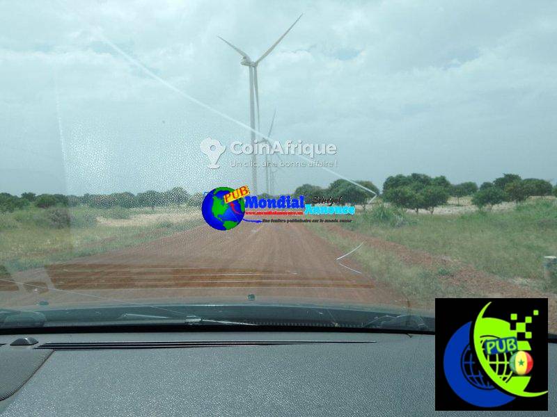 Terrains agricoles 30ha -Taiba Ndiaye