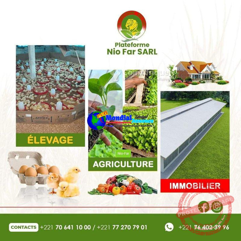 Terrains agricoles  + accompagnement  technique