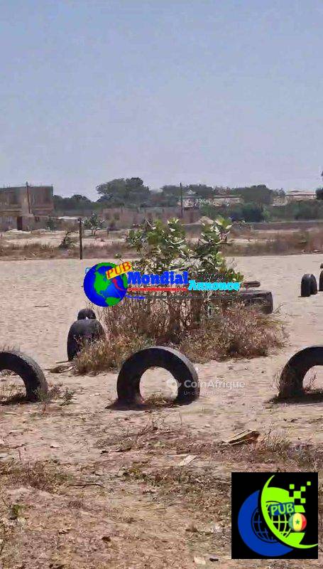 Terrain de 6 Hectares à Vendre à Dakar : Opportunité Rare