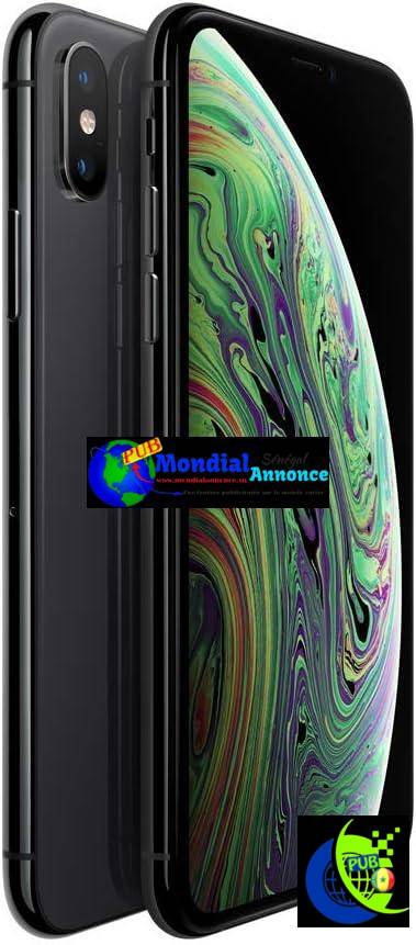 Apple iPhone XS 64Go Gris Sidéral à vendre