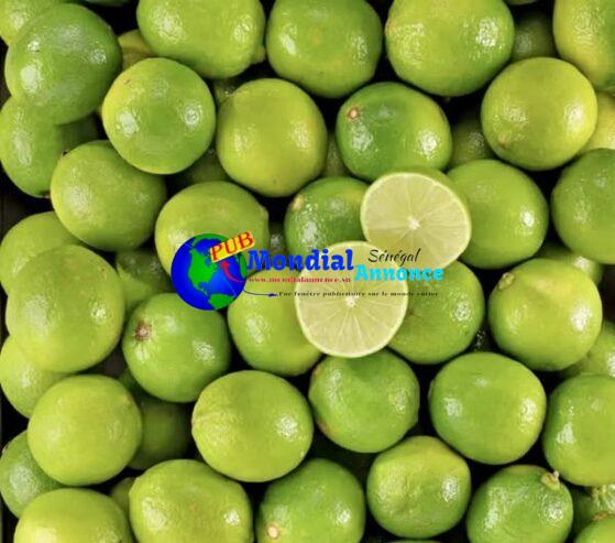 Citron 🍋 frais disponible 800fr le kilo