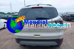 FB IMG 1788516622272