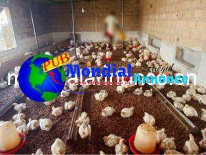 FB IMG 1790157988279