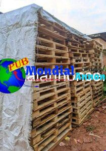 FB IMG 1792145588937