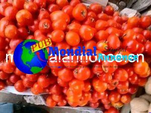 FB IMG 1792578723494