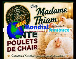 Poulets 