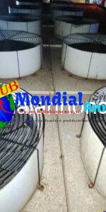 FB IMG 1793364007829
