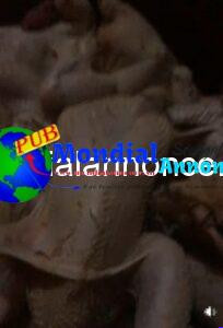 Screenshot 20261009 105439 Facebook