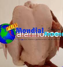 Poulets Gros Calibres
