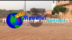 images 2026 10 13T102257.925