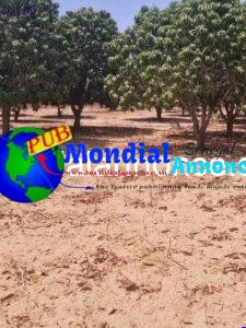 images 2026 10 13T103601.460