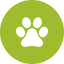 pet