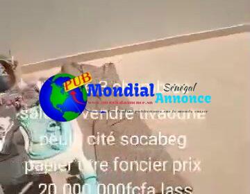 484560588_670582218683679_6334695890126388780_n.jpg