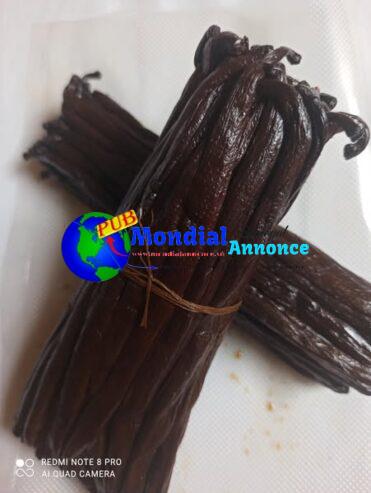 🌿 Poudre de Vanille Pure – Origine Madagascar