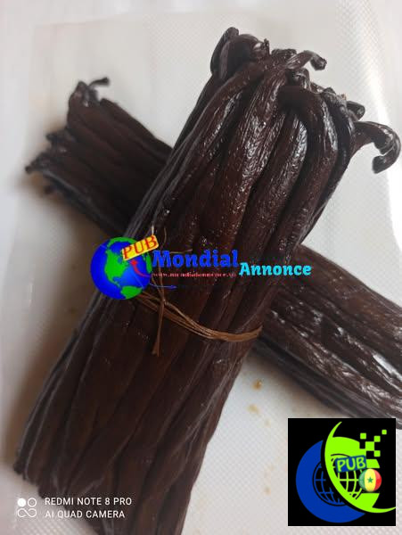 🌿 Poudre de Vanille Pure – Origine Madagascar