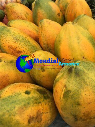 Fruits Locaux Bio du Sénégal RassoulAgroBio Vente en Gros et au Détail au 77 081 59 58