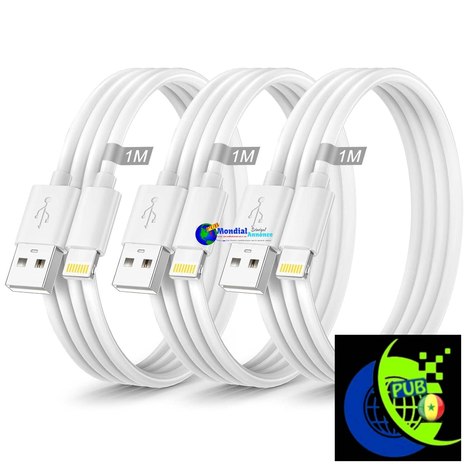 Câble iPhone 1M Lot de 3, Câble Chargeur iPhone 1M[MFi Certifié], Cable Lightning USB Cordon iPhone Fil Chargeur iPhone Cable iPhone Charge Rapide pour iPhone 14 13 12 11 Pro Max/XS/XR/SE/8/7/6/5,iPad