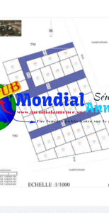 Terrain à Vendre à Déni Guéthie – 3.000.000 FCFA