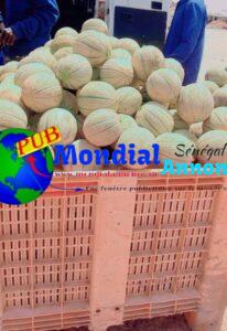 Fruits Locaux