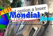 voitures