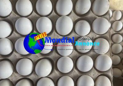 496701105_4078000642468448_4889866963231403759_n.jpg