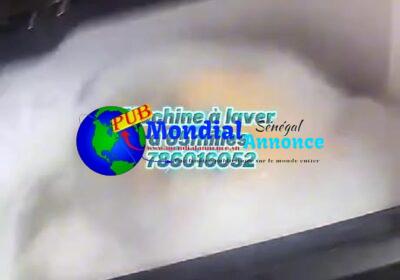 501604150_1477832233623770_6144160763248201259_n.jpg