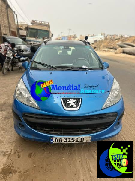 Peugeot 207 Break à Petit Prix – Vente Rapide !