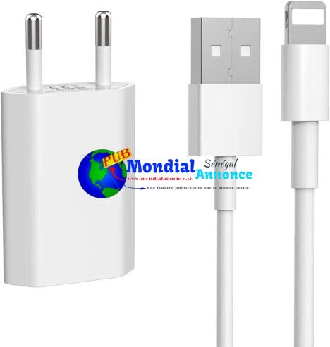 Chargeur Compatible avec iPhone 11 8 XR SE X XS XS Max 7 6 10 12 13 14 8 Plus 7 Plus 6S Airpods iPad, 5V 1A USB Adaptateur Secteur avec Câble pour A pple