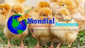 images 3 2