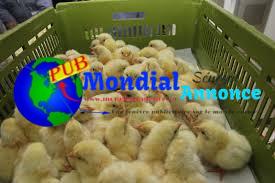 images 6