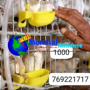 493564802 122169412868350434 6316755264636579684 n