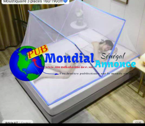 Moustiquaire