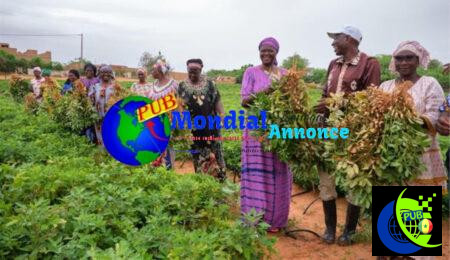 WomenHarvesting 1 1024x683 1
