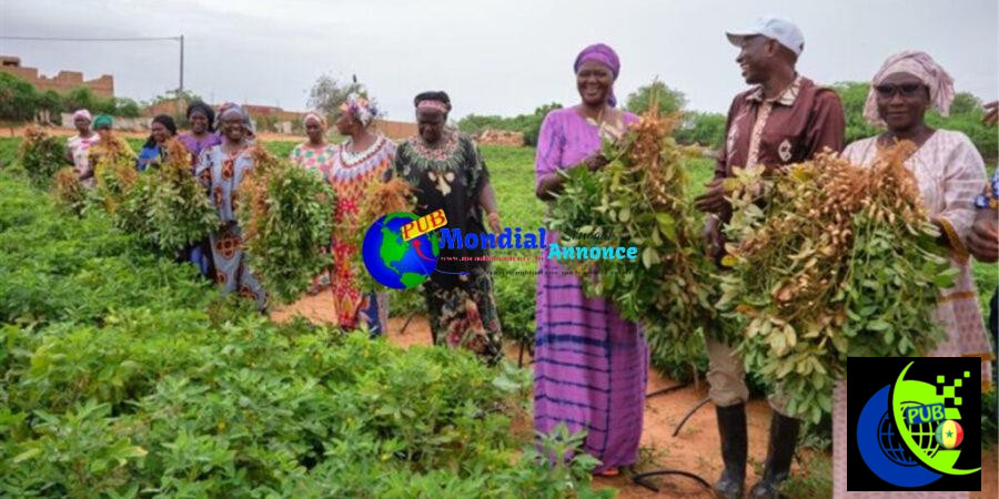 WomenHarvesting 1 1024x683 1