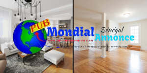 Meuble vs non meuble
