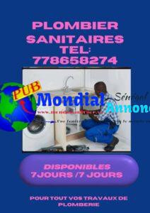 Plombier Professionnel 