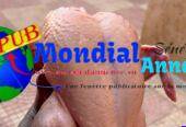Poulets Frais disponibles à Ngor. Contact : 777785225