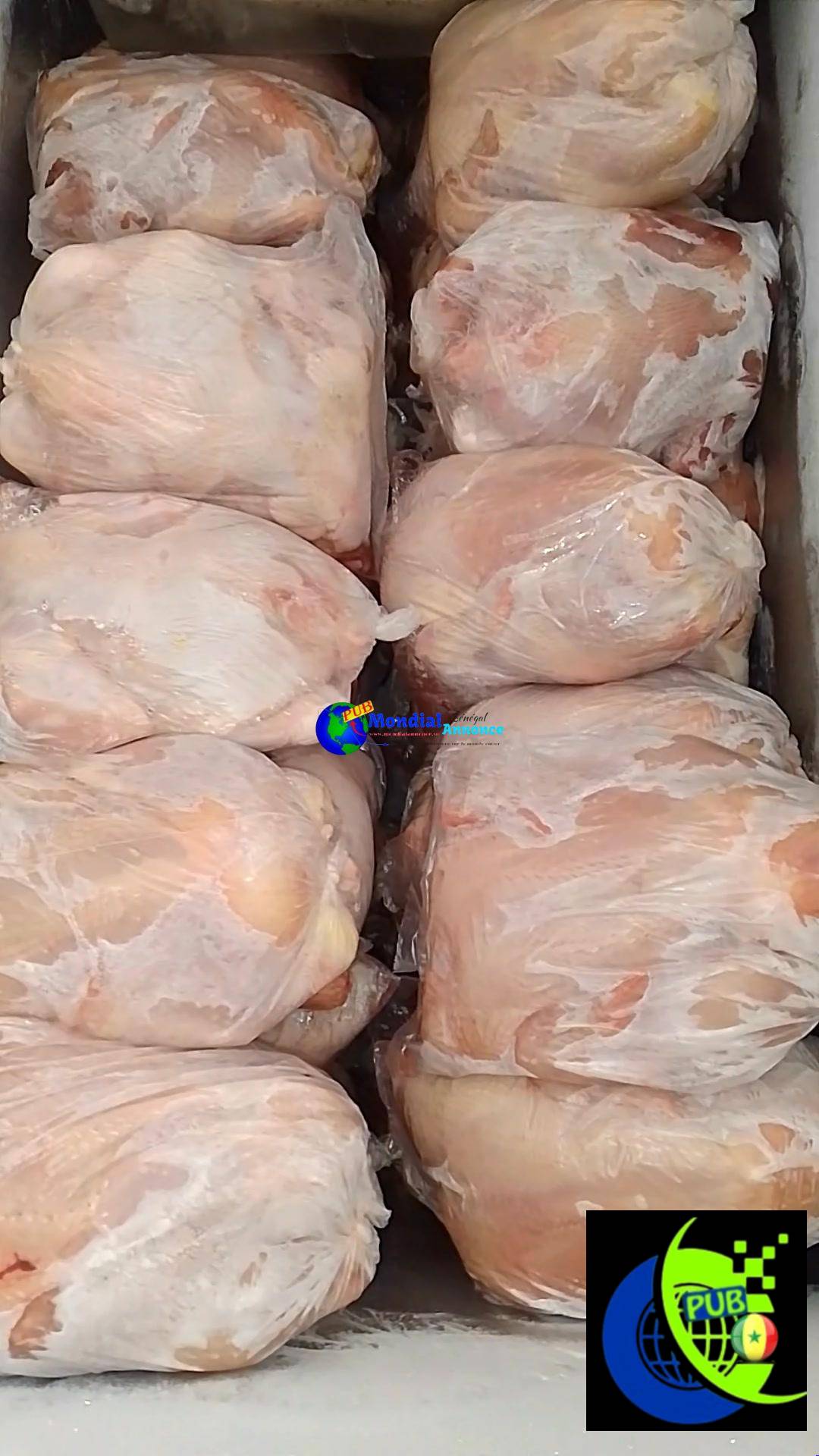 Poulets de Chair Frais et Vigoureux à Sébikotane dispo en Gros et Détail