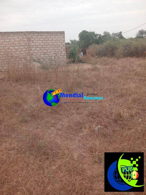 Terrain de 500 m² à vendre à Gueyène (Thiès) – Zone habitable et exploitable