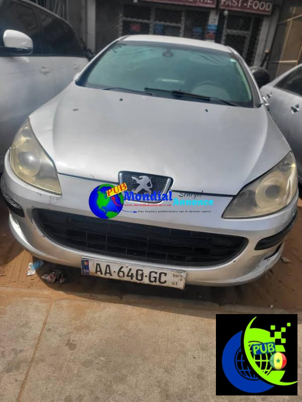 Peugeot 407 Diesel Manuelle Climatisée à Vendre – Échange Possible