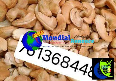 700293820_928952160142289_6177723774410331512_n.jpg