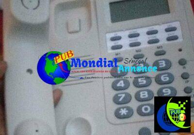 700453345_122112790281284796_5283701781584373575_n.jpg
