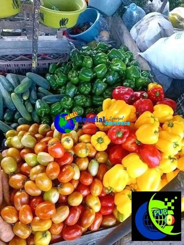 Légumes Frais à Domicile à Dakar – Commandez et Faites-vous Livrer